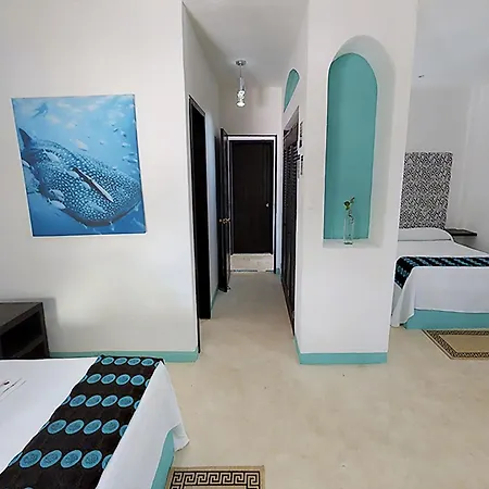 Hotel Villas Tiburon Adults Only-3
