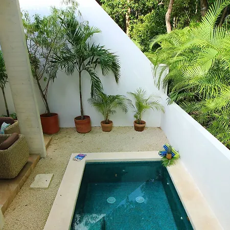 Home Daily Yoga Pools & Beach By Olahola-2