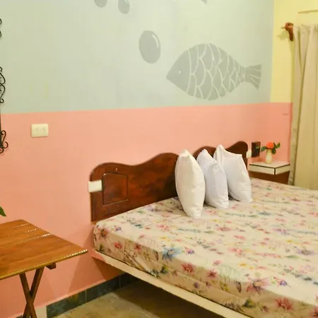 Casa Palma Hotel-2
