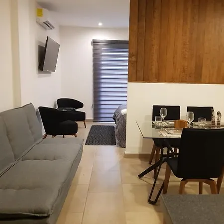 Hermoso Departamento En Playa Del Carmen-2