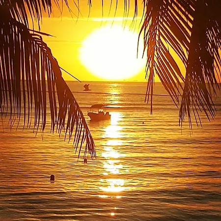 Sunshine Suite-3