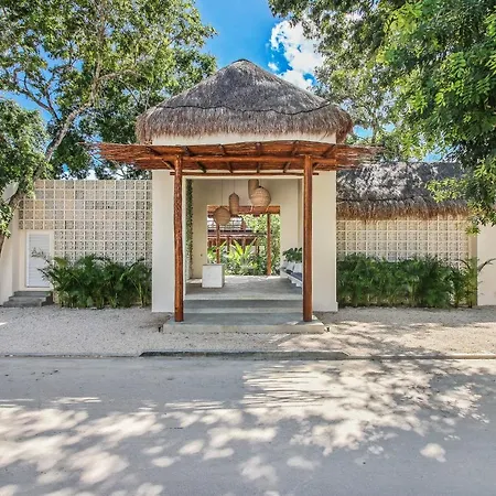 Zenses Wellness And Yoga Resort - Adults Only-3