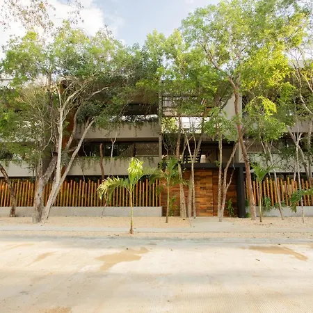 Arba Tulum - Aldea Zama-2