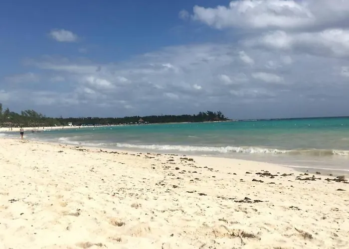 Huisdiervriedelijke Home Sweet Caribbean Playa del Carmen