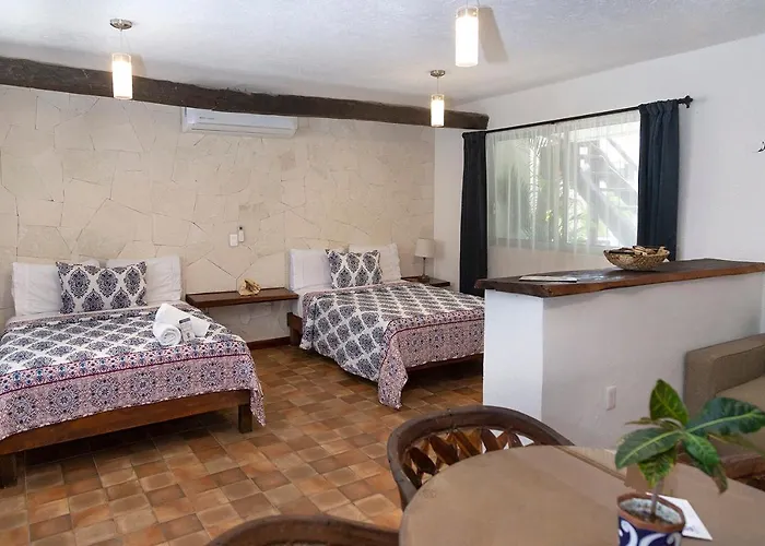 Hotel Amar Inn Puerto Morelos admite animales