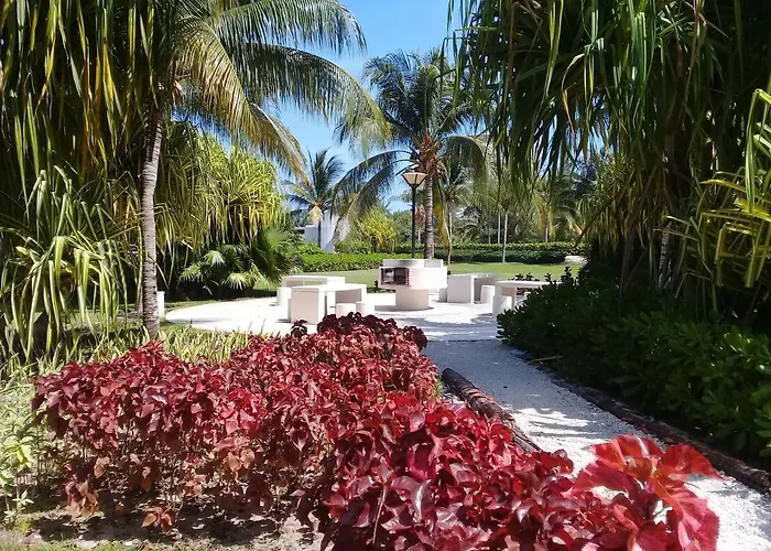 Swim The Caribbean & Work With A View Apartamento Cancún