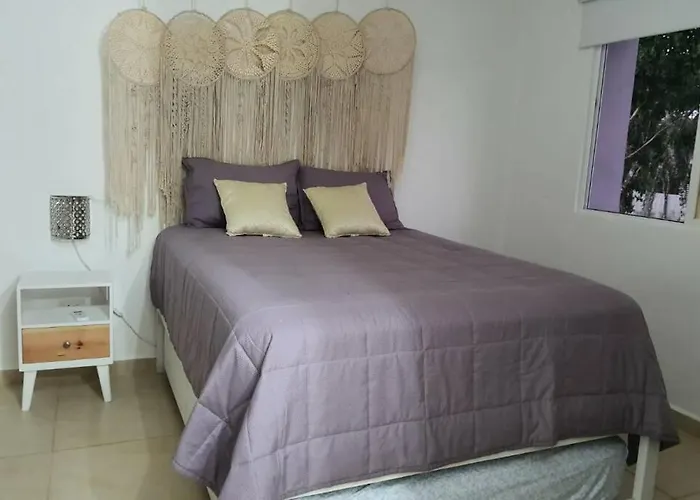 Pet friendly Frontemare-House Riviera Mares Apartment Playa del Carmen