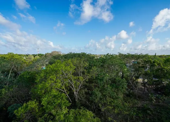 El Vivero, Beautiful Apartment In Tulum A3