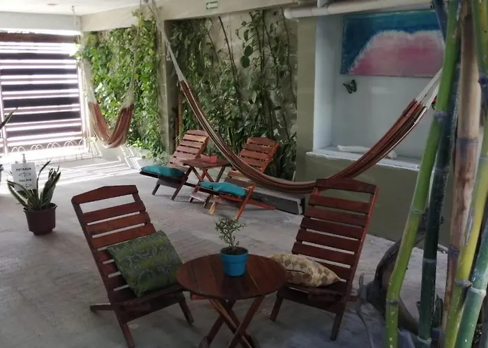 Pet friendly Hostal Jardin Mahahual
