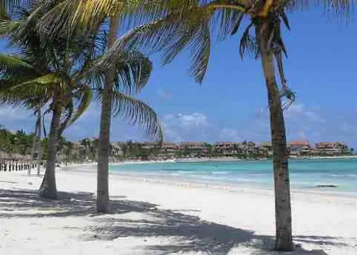 Pet friendly Little Caribbean Treetop Loft Puerto Aventuras
