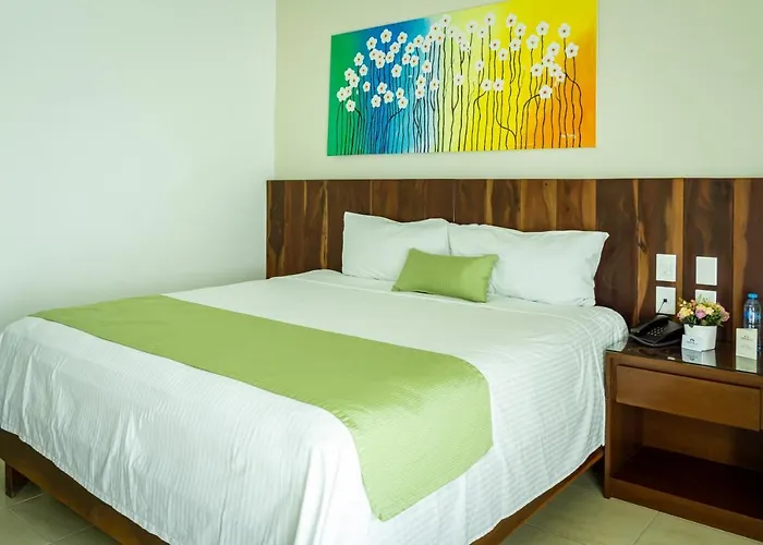 Imperla Hotel Isla Mujeres admite animales