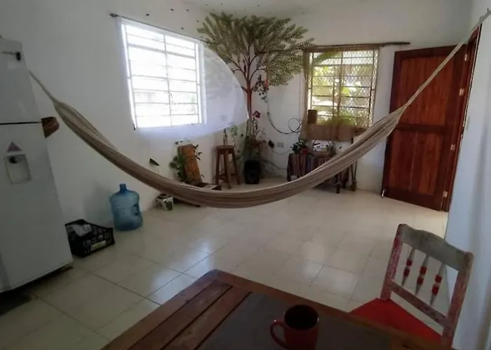 Pet friendly Casa De Viajeros Apartment Bacalar