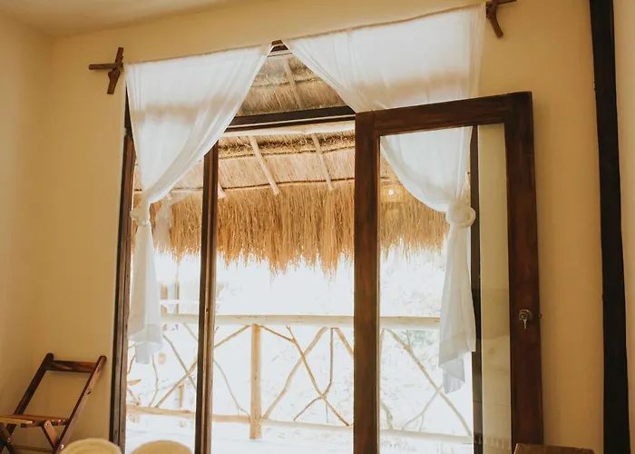 Pet friendly Xiknal Cozumel Hotel