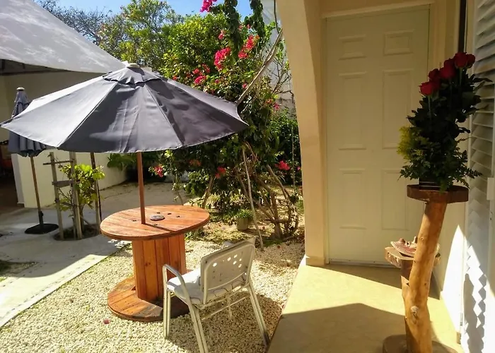 Pet friendly Balanca Studios Puerto Morelos