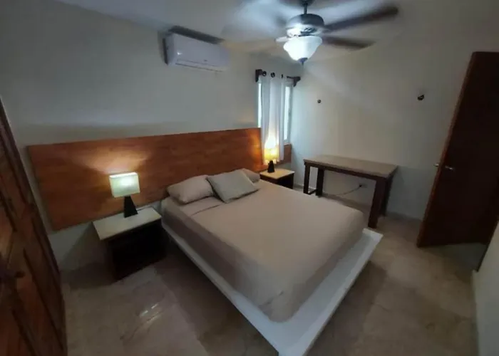 Moonligh Condos Puerto Morelos admite animales