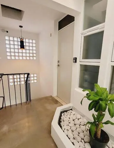 D-08Novaga Downtown Cancún aceita animais de estimação