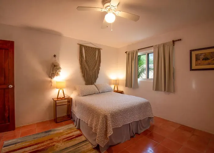 Budgies Cozumel admite animales