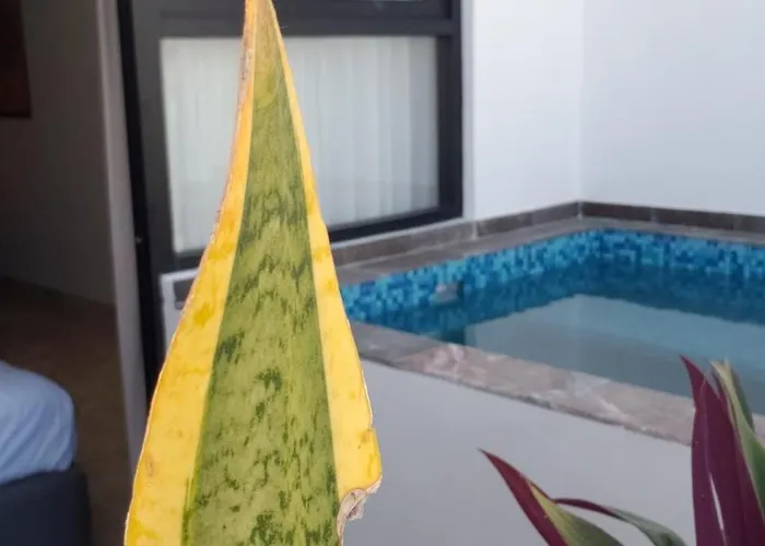 Penthouse Delux, Elle Residence, Aldea Zama, Condohotel Tulum
