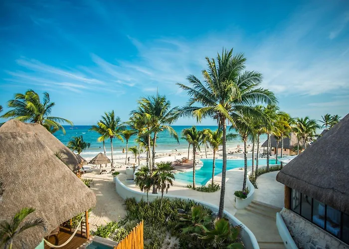 Playa del Carmen Dog Friendly Hotels