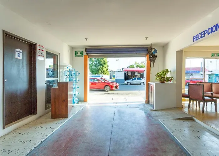 Pet friendly Oyo Hotel Cristal Chetumal