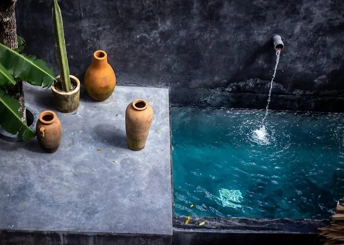 PH TOTALLY PRIVATE POOL&ROOFTOP @ La Veleta D8 Tulum che accetta animali