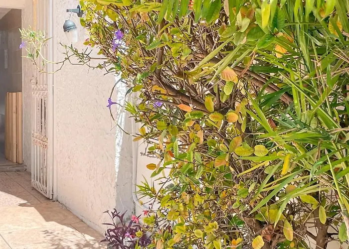 Pecari 26 Apartamento Cancún