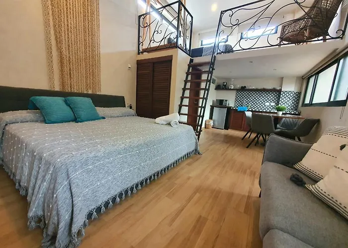Pet friendly Casa Luz Downtown Apartments In Tulum
