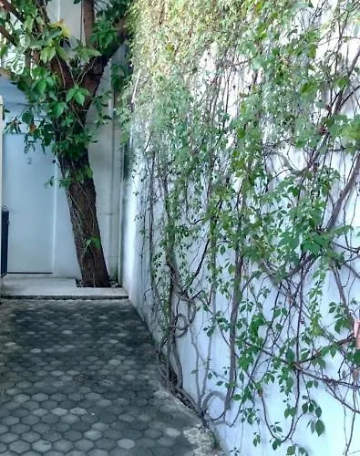 Haustierfreundliches Estudio Zona Centro Cerca De La Terminal Ado Cancún