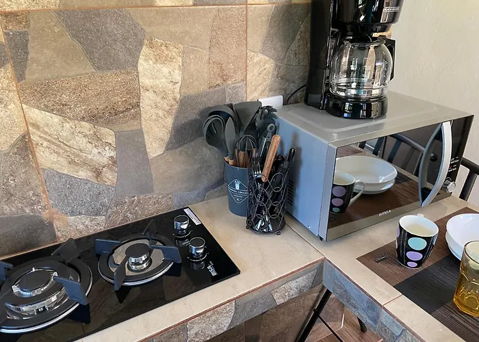 Pet friendly Casa Coral 2 Apartment Isla Mujeres