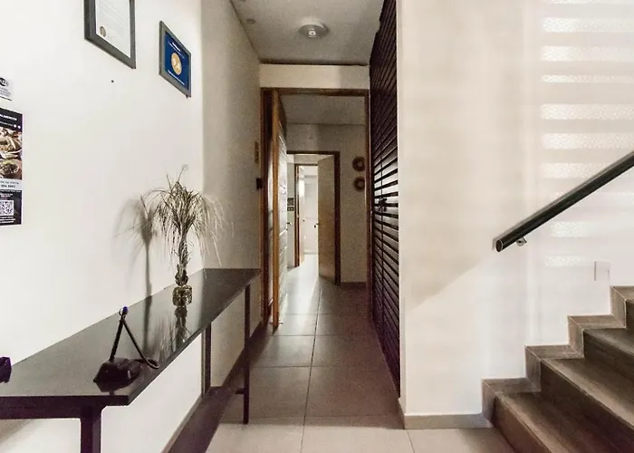 Viento Suites Cancún aceita animais de estimação