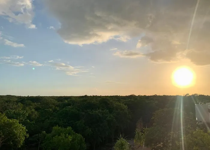 Huisdiervriedelijke Jungle House 6 - Luxury House Private Pool Villa Tulum Pueblo
