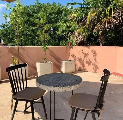 Mero 1 Cancún que aceita animais de estimação