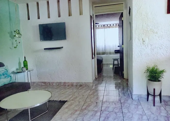 Huisdiervriedelijke Mi Otoch En Cancun Jardin Terraza Asador