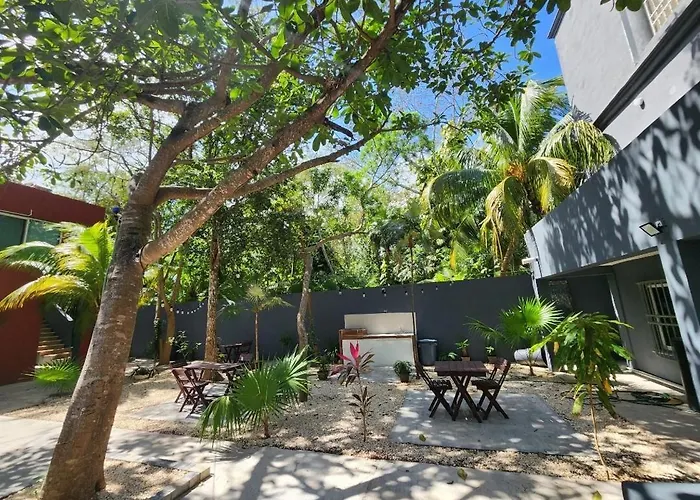 Estudios Navarro Cancun
