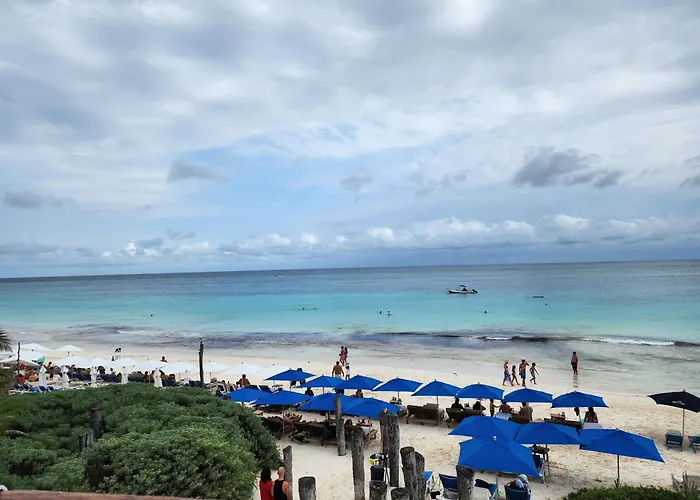 Playa Las Palmas Tulum che accetta animali