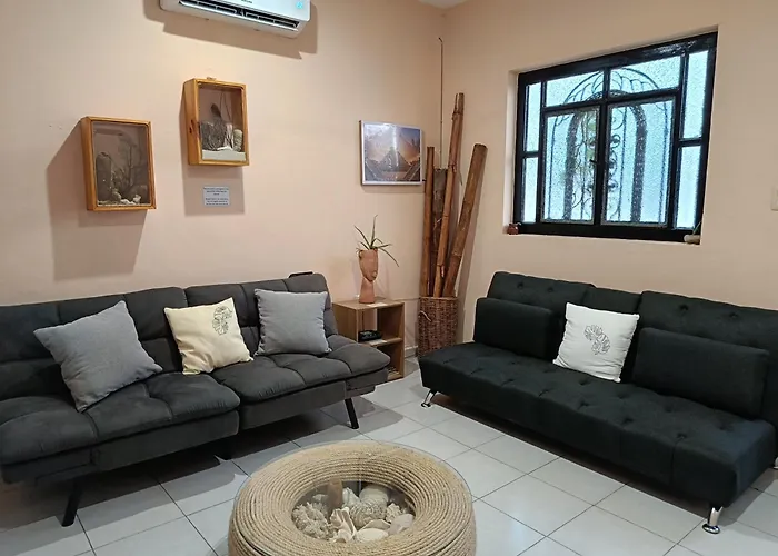 Pet friendly Downtown Apartment One Block From The Ocean - Casa Aluxes Cozumel
