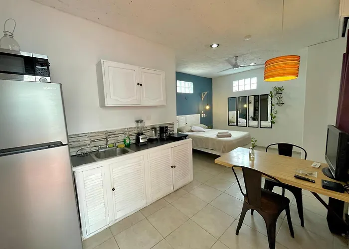 Anana Coliving Hotel Playa del Carmen
