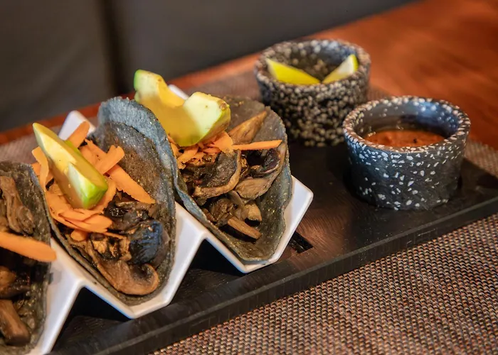 Playa del Carmen hotels near ME Dive Center