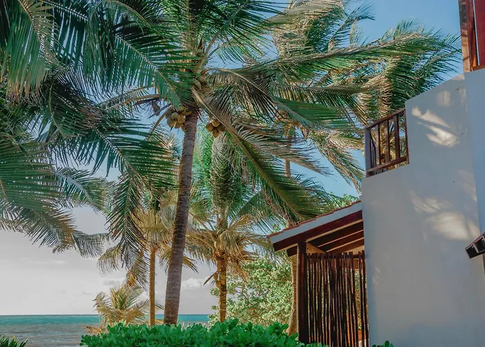 Bed and Breakfast Casa Colibrí Tankah Tulum