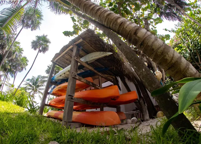 Pet friendly Margarita Del Sol Hotel Costa Maya Mahahual