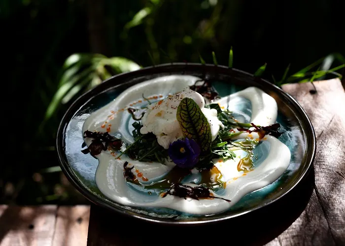 Siwa Tulum Full Wellness Experience & Food Included - Alcohol Not Included Hotel