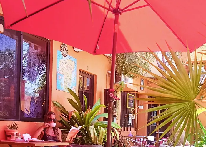 El Ultimo Maya Akumal