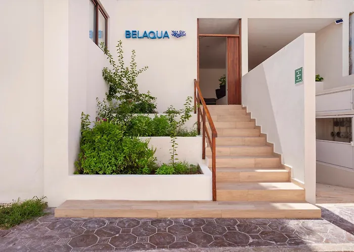 Playa Norte Oceanfront Remote Work Plus Concierge Isla Mujeres admite animales