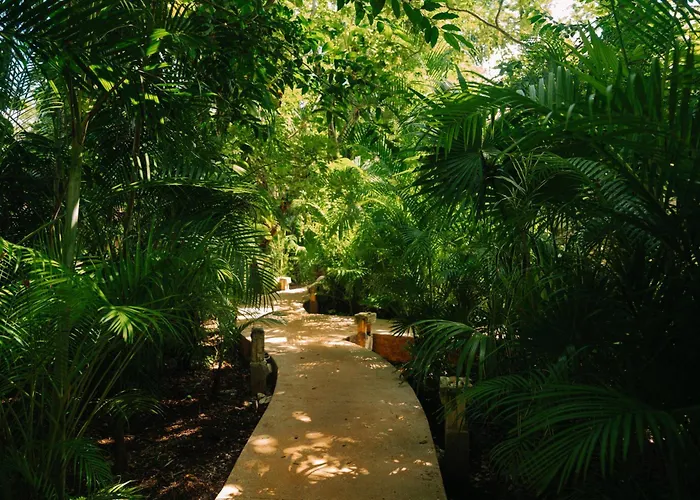 Aldea Coba An Escape Boutique Experience Hotel