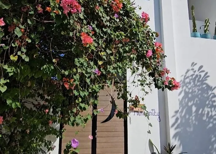 Hostel Humanity - Puerto Morelos admite animales