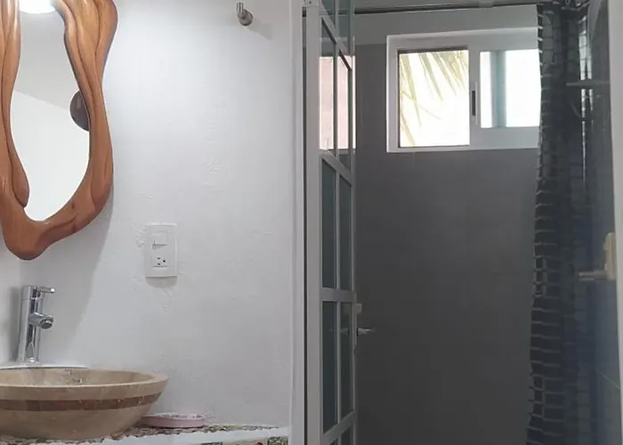 Pet friendly La Casa Del Cenote Apartment Playa del Carmen