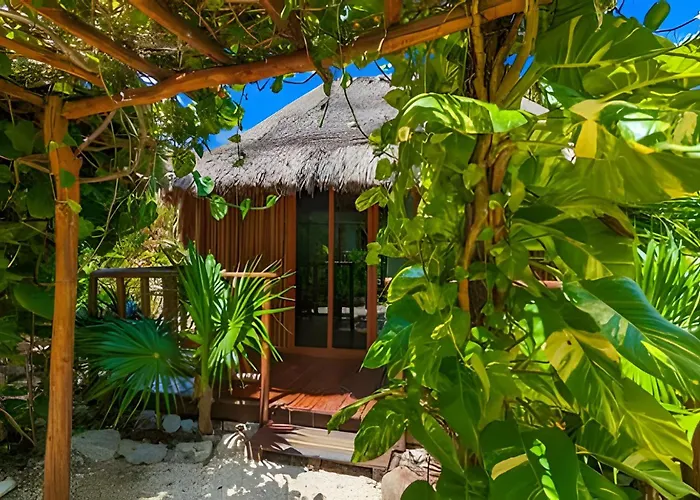 Stunning 6 Private Villas & Ph /Wifi/Ac/Pool/Gym. Tulum