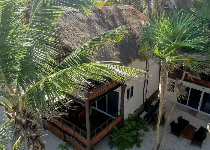 Bt Live Tulum Located At The Party Zone Hotel - 4-sterenhotel