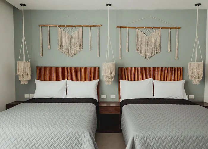 Ah Xok Suites 5A Avenida Playa del Carmen que aceita animais de estimação