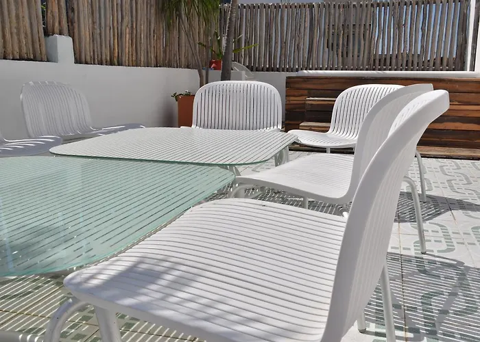 Adventure Experience Hotel Playa del Carmen admite animales